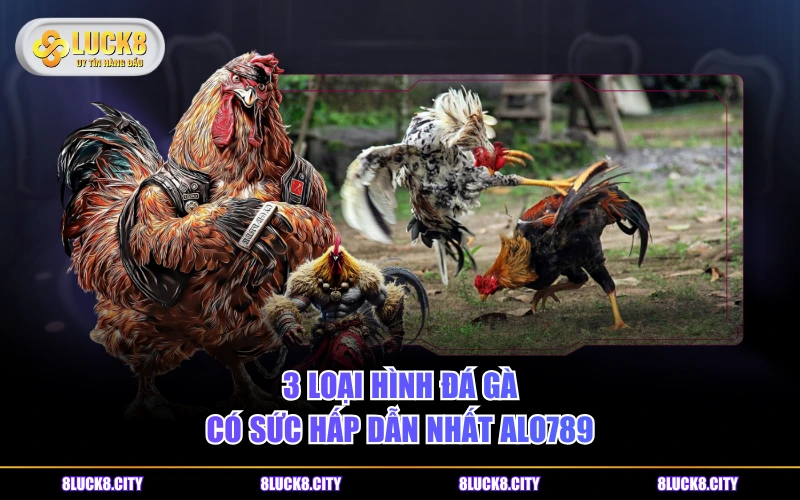 Đá Gà ALO789 - Nơi Giải Trí An Toàn Cho Mọi Thành Viên 9 3 loại hình đá gà có sức hấp dẫn nhất ALO789