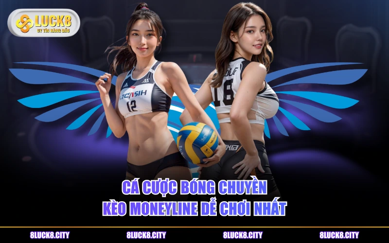 Cá Cược Bóng Chuyền - Luật Chơi Và Các Loại Kèo Hot 8 Cá cược bóng chuyền kèo Moneyline dễ chơi nhất