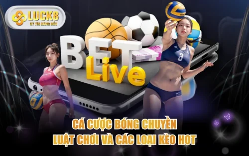 Cá Cược Bóng Chuyền - Luật Chơi Và Các Loại Kèo Hot 5 Cá Cược Bóng Chuyền - Luật Chơi Và Các Loại Kèo Hot