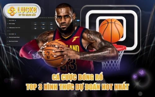 Cá Cược Bóng Rổ | Top 3 Hình Thức Dự Đoán Hot Nhất 5 Cá Cược Bóng Rổ | Top 3 Hình Thức Dự Đoán Hot Nhất