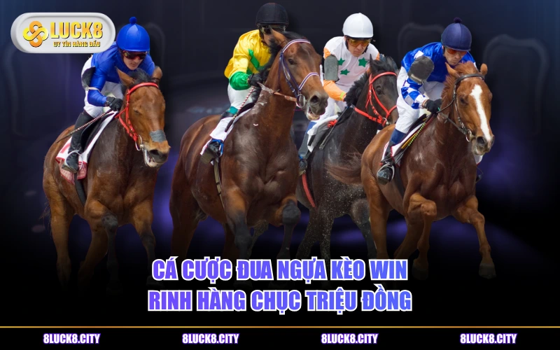 Cá Cược Đua Ngựa Rinh Thưởng Lớn Với Top 4 Kèo Hot Nhất 8 Cá cược đua ngựa kèo win rinh hàng chục triệu đồng