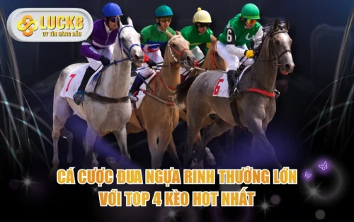 Cá Cược Đua Ngựa Rinh Thưởng Lớn Với Top 4 Kèo Hot Nhất 5 Cá Cược Đua Ngựa Rinh Thưởng Lớn Với Top 4 Kèo Hot Nhất