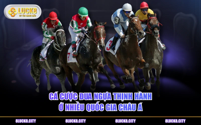 Cá Cược Đua Ngựa Rinh Thưởng Lớn Với Top 4 Kèo Hot Nhất 6 Cá cược đua ngựa thịnh hành ở nhiều quốc gia châu Á