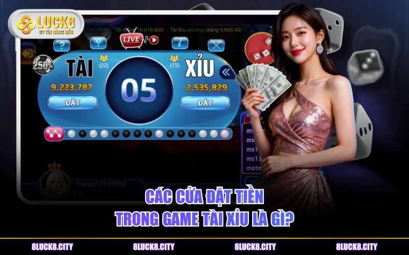 Tài Xỉu Là Gì? Cách Chơi Cơ Bản Và 3 Phiên Bản Game Hot 7 Các cửa đặt tiền trong game Tài Xỉu là gì?