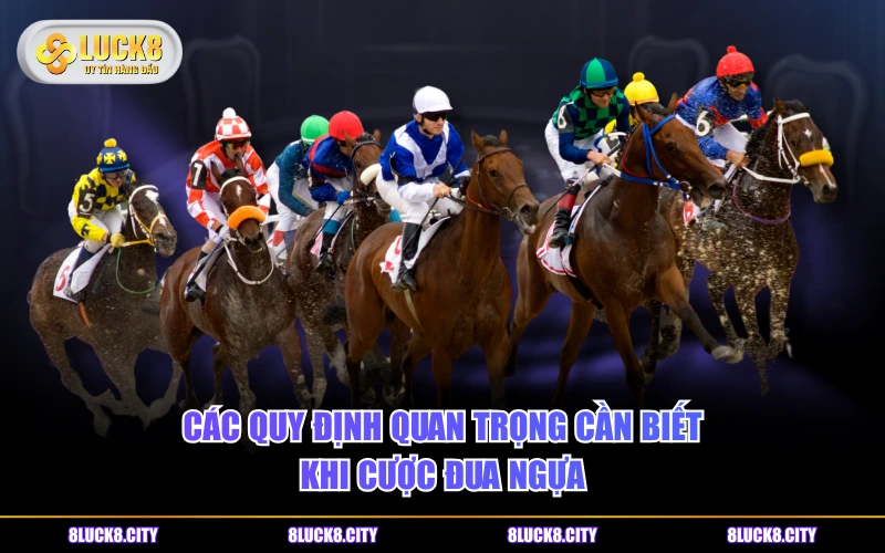 Cá Cược Đua Ngựa Rinh Thưởng Lớn Với Top 4 Kèo Hot Nhất 9 Các quy định quan trọng cần biết khi cược đua ngựa