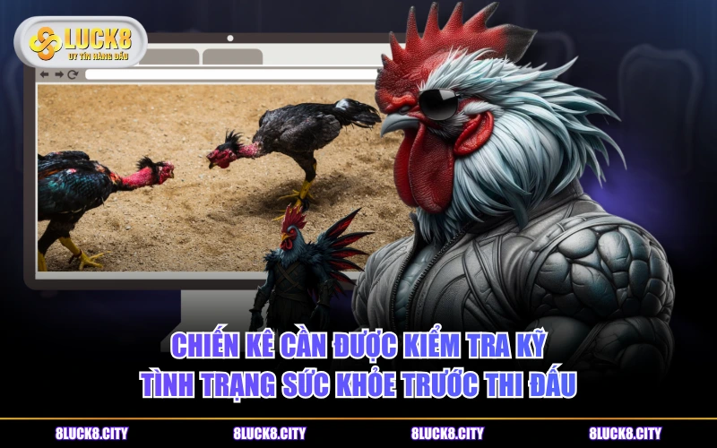 Đá Gà Cựa Dao Và Những Quy Tắc Cần Biết Khi Vào Tiền 8 Chiến kê cần được kiểm tra kỹ tình trạng sức khỏe trước thi đấu