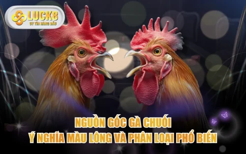 Nguồn Gốc Gà Chuối - Ý Nghĩa Màu Lông Và Phân Loại Phổ Biến 5 Nguồn Gốc Gà Chuối - Ý Nghĩa Màu Lông Và Phân Loại Phổ Biến