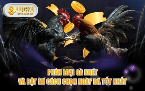 Phân Loại Gà Khét Và Bật Mí Cách Chọn Ngày Đá Tốt Nhất 5 Phân Loại Gà Khét Và Bật Mí Cách Chọn Ngày Đá Tốt Nhất