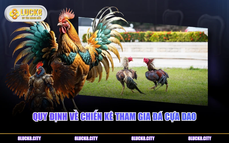 Đá Gà Cựa Dao Và Những Quy Tắc Cần Biết Khi Vào Tiền 7 Quy định về chiến kê tham gia đá cựa dao