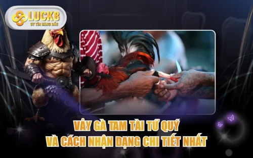 Vảy Gà Tam Tài Tứ Quý Và Cách Nhận Dạng Chi Tiết Nhất 5 Vảy Gà Tam Tài Tứ Quý Và Cách Nhận Dạng Chi Tiết Nhất Vảy Gà Tam Tài Tứ Quý Và Cách Nhận Dạng Chi Tiết Nhất