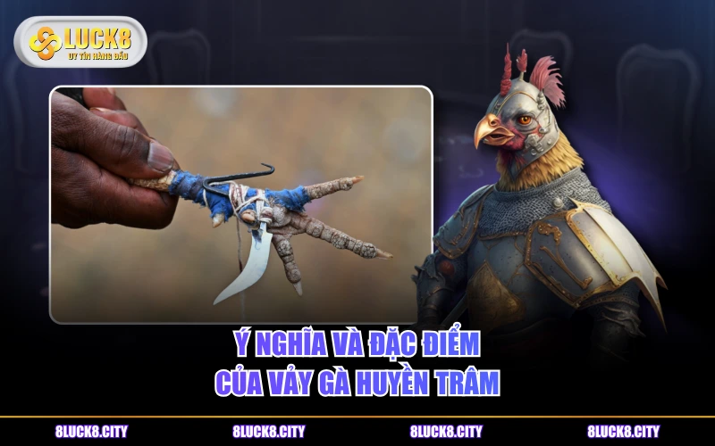 Vảy Gà Huyền Trâm - Loại Vảy Quý Hiếm Số 1 Trong Chọi Kê 6 Ý nghĩa và đặc điểm của vảy gà Huyền Trâm